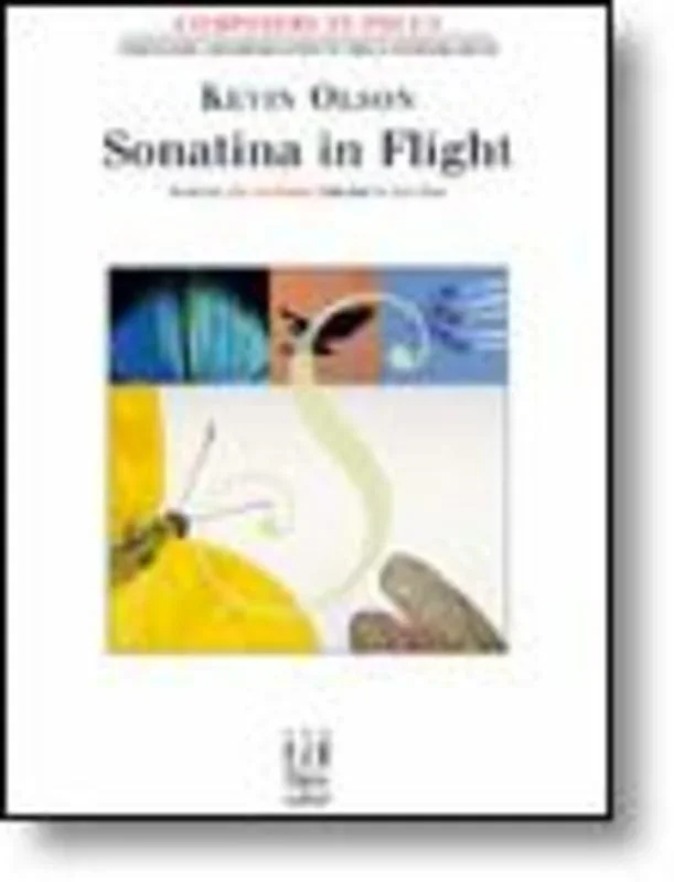 Sonatina In Flight (Softcover Book)