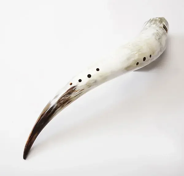 Sub-Bass Gemshorn in Cip