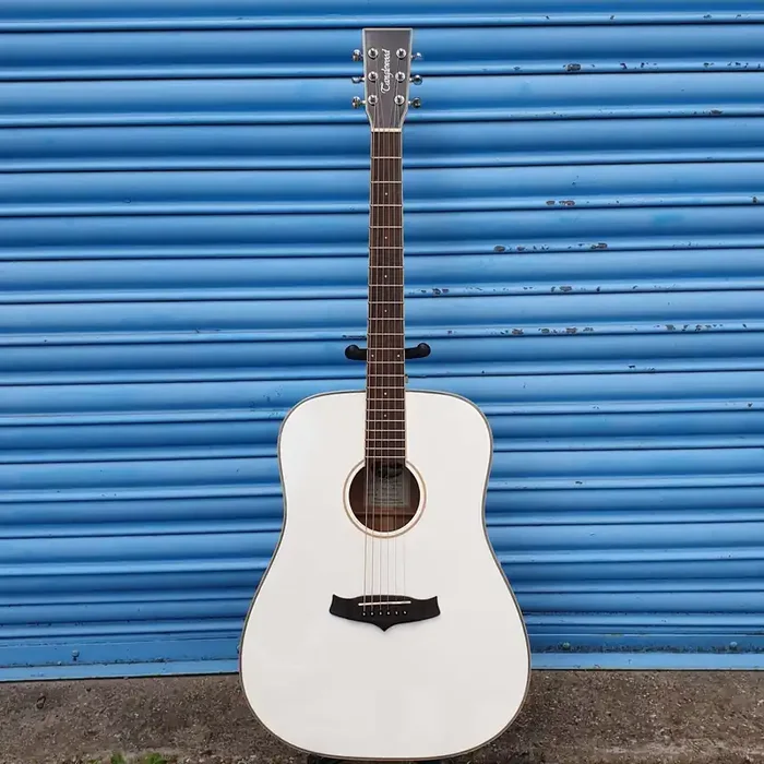Tanglewood TW28CL Evolution IV Acoustic Guitar