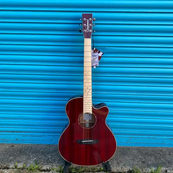 Tanglewood TW4 E-BLB Winterleaf Electro-Acoustic Guitar