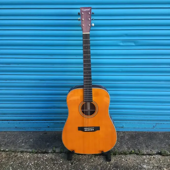 Tanglewood TW40-D-AN-E Dreadnaught Style Electro-Acoustic Guitar Inc. Polyfoam Case