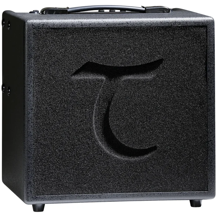 Tanglewood TWAMP6 T6 60W Acoustic Amplifier