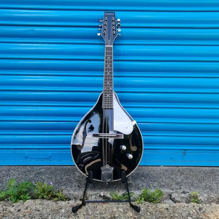 Tanglewood TWM T BKPE Electro Mandolin