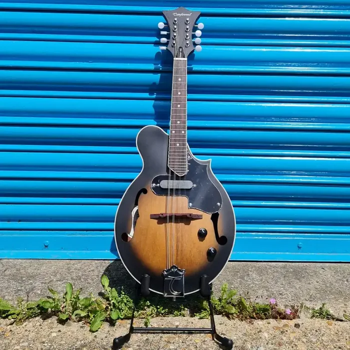 Tanglewood Union Series Mandolin TWMF VSE