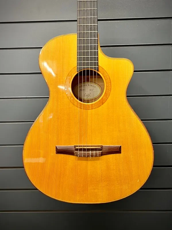 Taylor Nylon String ( 20020430714)