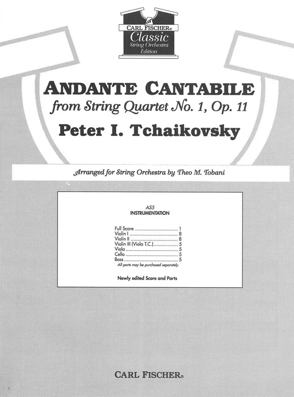 Tchaikovsky: Andante Cantabile arr. for string orchestra