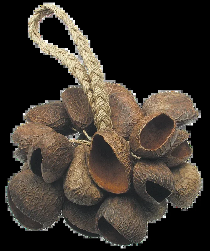 Toca Seed Shell Shaker