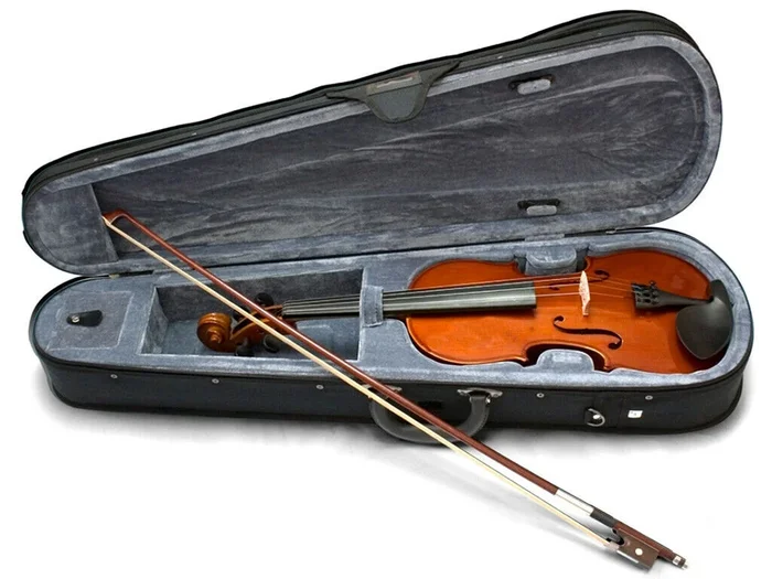 Valencia Full Size Violin Outfit Solid Carved Top and Back Poly Foam Case
