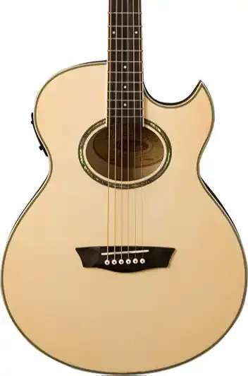 Washburn EA20 Festival Series Cutaway – Natural