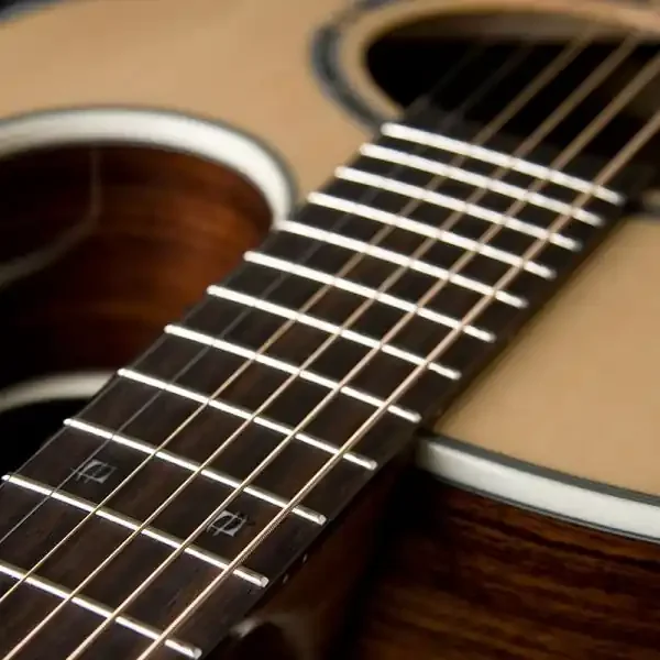 Washburn EA20S Nuno Bettencourt Festival Series Cutaway